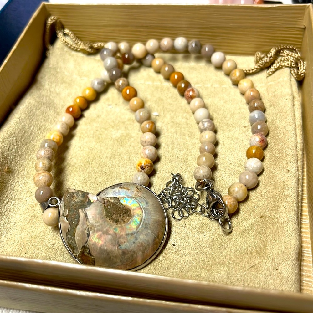 Nautilus fossil necklace